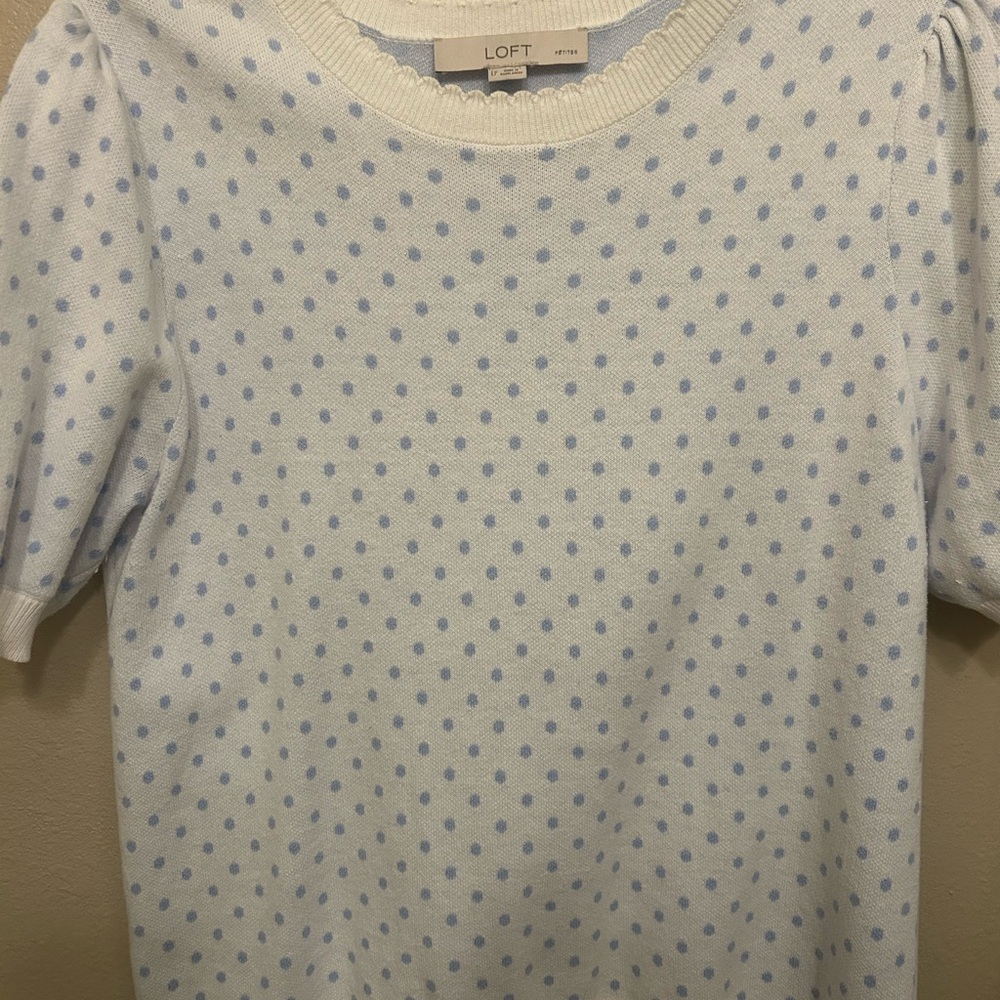 LOFT Light Blue Polka Dot Blouse